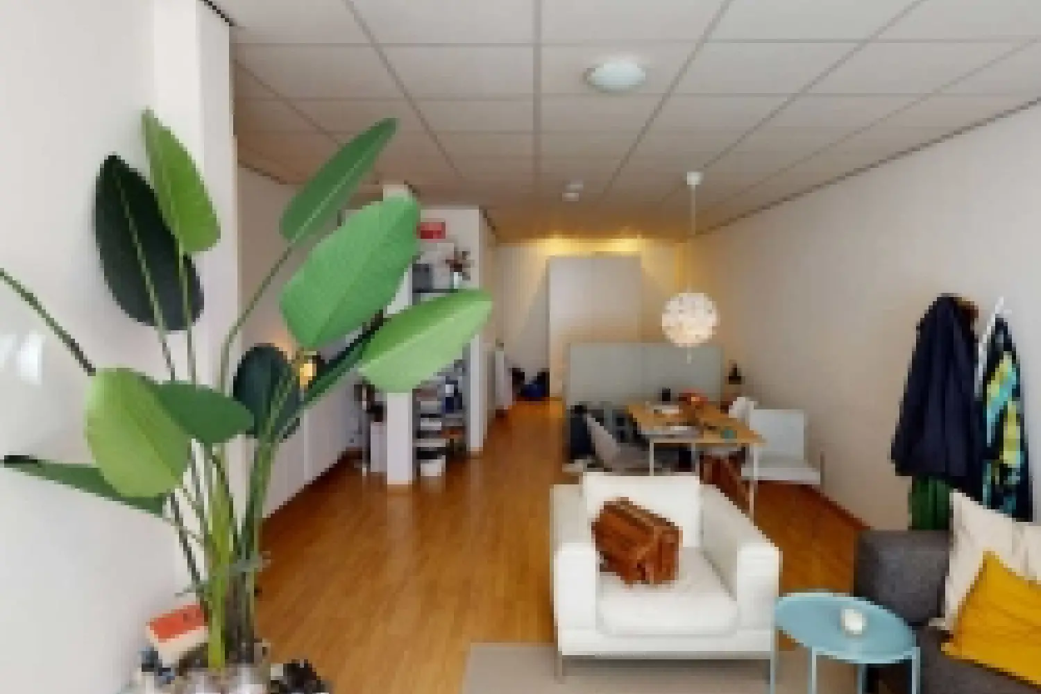 Studio P.C. Borstraat in Utrecht